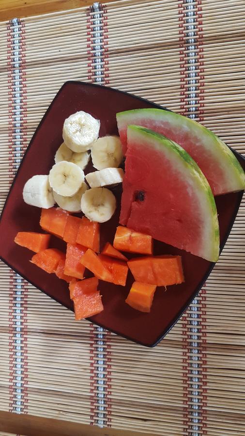 알라후엘라 Vida Tropical B&B 외부 사진