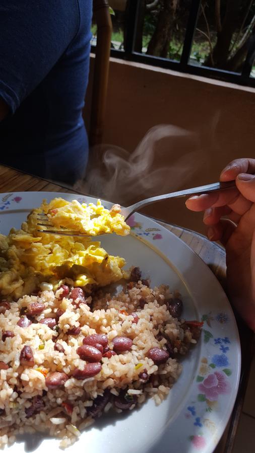 알라후엘라 Vida Tropical B&B 외부 사진