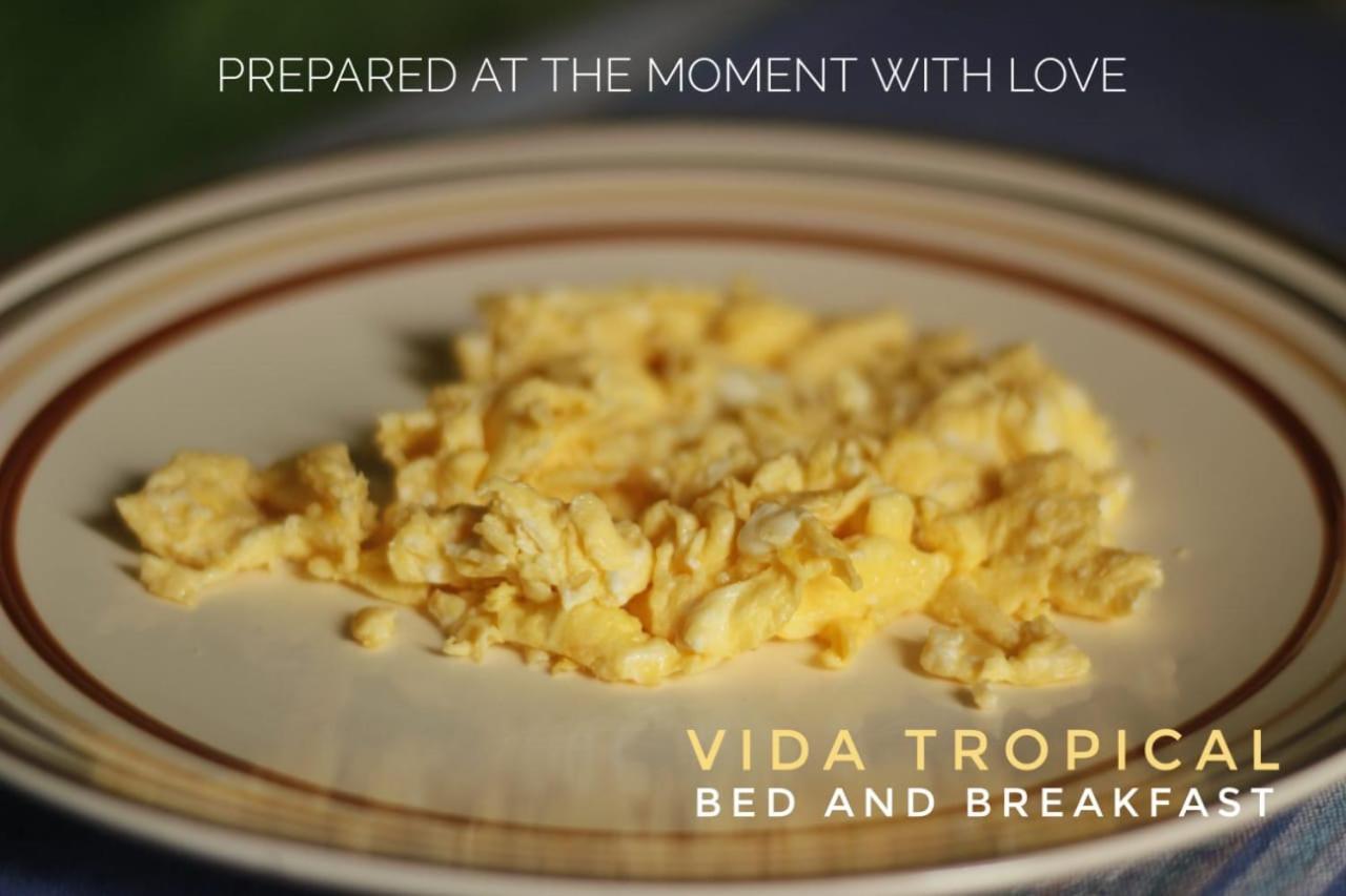 알라후엘라 Vida Tropical B&B 외부 사진