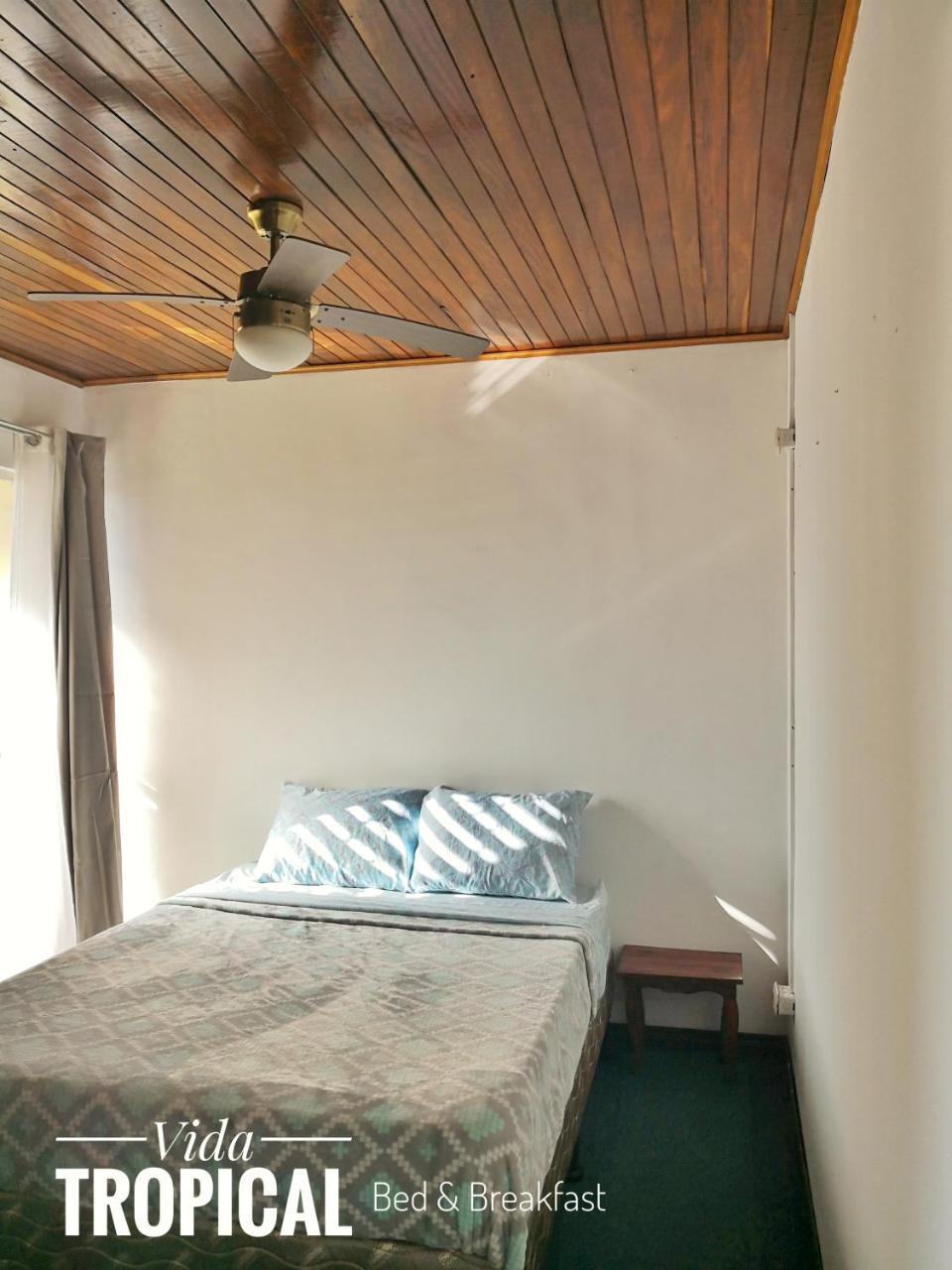 알라후엘라 Vida Tropical B&B 외부 사진