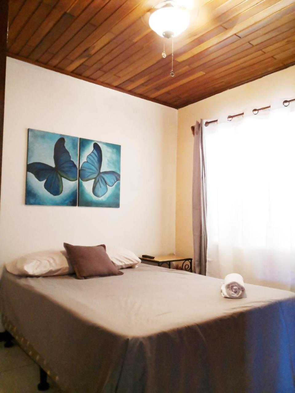 알라후엘라 Vida Tropical B&B 외부 사진