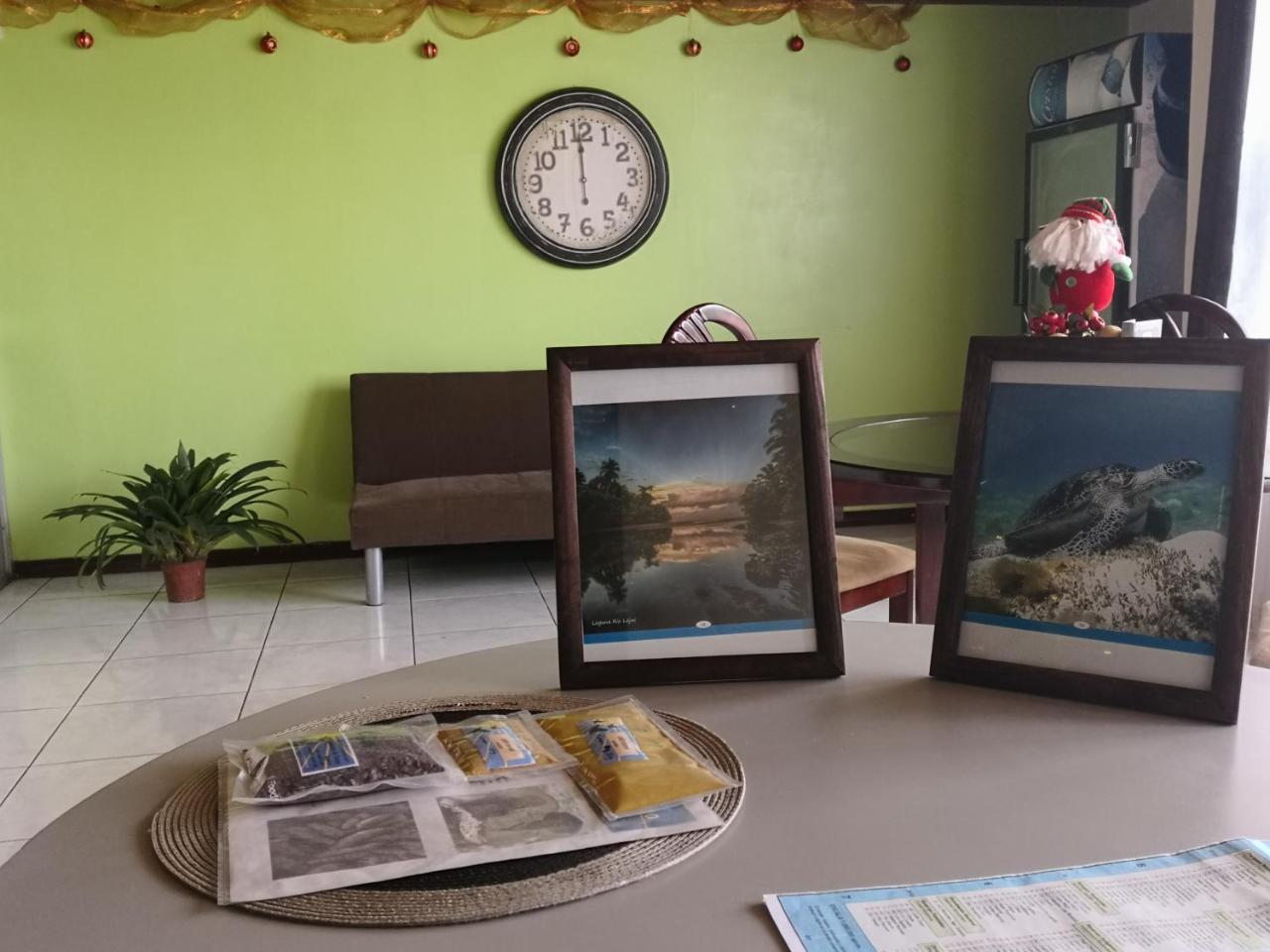 알라후엘라 Vida Tropical B&B 외부 사진
