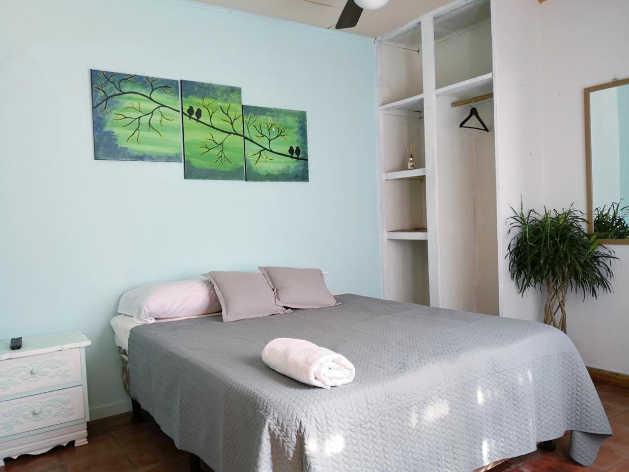 알라후엘라 Vida Tropical B&B 외부 사진